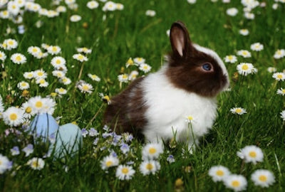 10 Sweet & Chic Christian Easter Gift Ideas for Adults